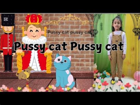 pussy videos|pussy videos